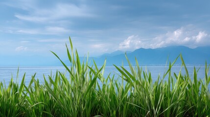 Obraz premium Lush Green Grass Along a Serene Lake with Majestic Mountains in the Background Under a Blue Sky with Soft Clouds