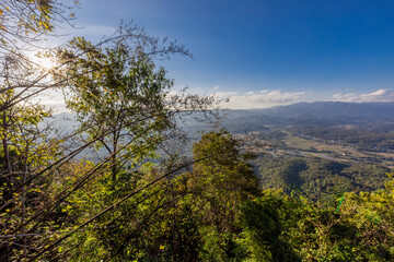 Obraz premium The natural backdrop of trees growing along canals, large reservoirs,the sea features many types of trees,including coconut,banana,and betel nut trees, as well as various grasses and weeds commonly.