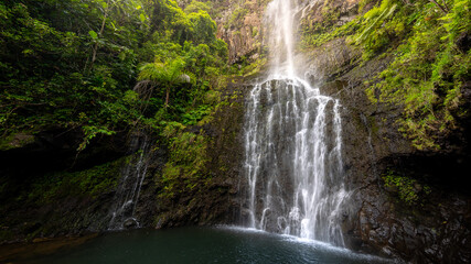 Jungle Waterfall © Nils