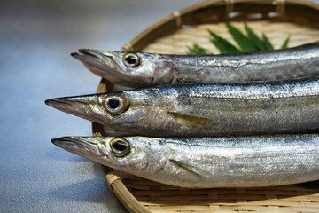 旬の新鮮なカマスのアップ © yuuyu