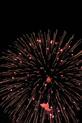 Golden orange fireworks burst shaped like a flower in the night sky