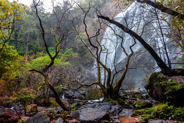Fototapeta premium The backdrop of a beautiful natural waterfall in Thailand, Khlong Lan Waterfall in Kamphaeng Phet, features water flowing over a rock formation shaped like a crocodile, surrounded by trees.