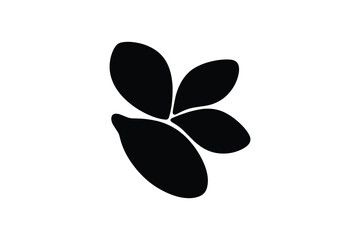 Pumpkin seeds silhouette group isolated on white background organic snack ingredients botanical seed elements