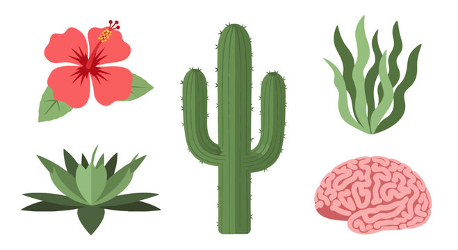Tall Green Saguaro Cactus Illustration with Three Arms and Sharp Spines.