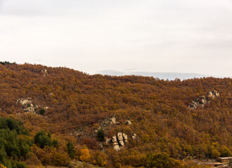 Green hill and trees in autumn with empty sky
