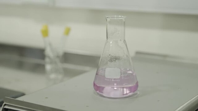 Erlenmeyer Flask in Laboratory 4k