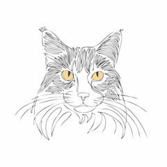 Fototapeta premium Detailed line art illustration of a fluffy Maine Coon cat with striking yellow eyes, capturing its majestic and gentle nature