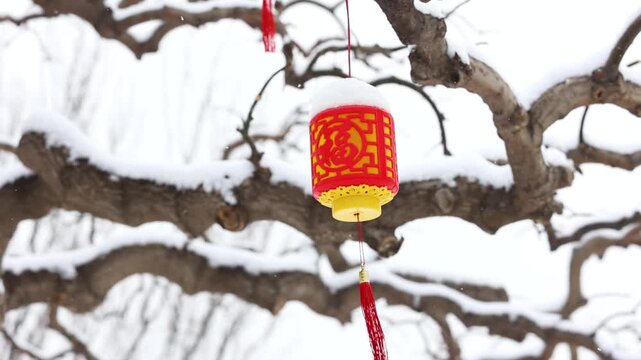 Snow falls gently on the lanterns hanging from the tree branches in winter