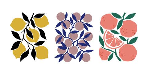 Set of Minimalist Fruit Branch Illustrations with Lemons Oranges and Berries