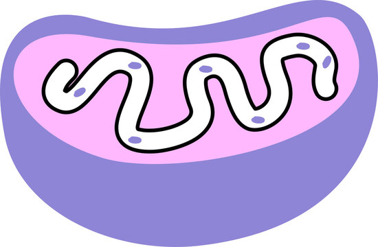 adenosine triphosphate illustration, atp