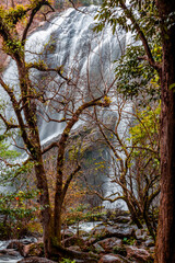 Fototapeta premium The backdrop of a beautiful natural waterfall in Thailand, Khlong Lan Waterfall in Kamphaeng Phet, features water flowing over a rock formation shaped like a crocodile, surrounded by trees.