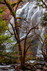 Fototapeta premium The backdrop of a beautiful natural waterfall in Thailand, Khlong Lan Waterfall in Kamphaeng Phet, features water flowing over a rock formation shaped like a crocodile, surrounded by trees.