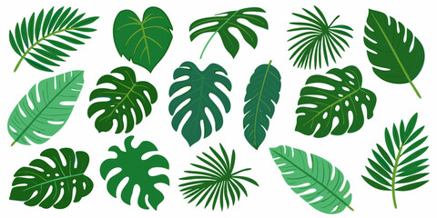 Collection of vibrant green tropical leaves arranged on a white background © Ranajit