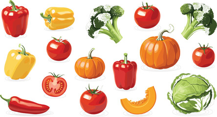 Fototapeta premium Premium collection of realistic fresh organic vegetable illustrations featuring bell peppers broccoli tomatoes pumpkins and cabbage for gourmet culinary branding