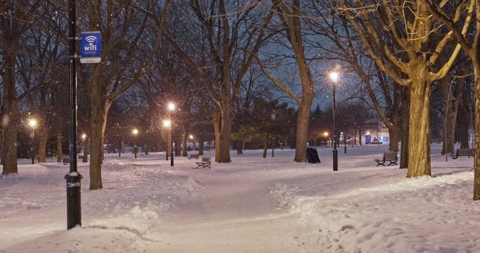 Heavy snow falls on a quiet urban park path at night under street lamps. Calm atmosphere with visible snowfall, suitable for seasonal visuals and vertical format background.