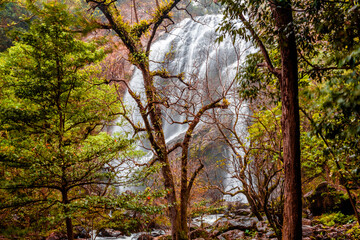 Obraz premium The backdrop of a beautiful natural waterfall in Thailand, Khlong Lan Waterfall in Kamphaeng Phet, features water flowing over a rock formation shaped like a crocodile, surrounded by trees.