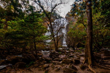 Obraz premium The natural backdrop of a waterfall in a deep forest or a reservoir by a stream, the beauty of the ecosystem, the green forest, the cool air during an adventurous trip.