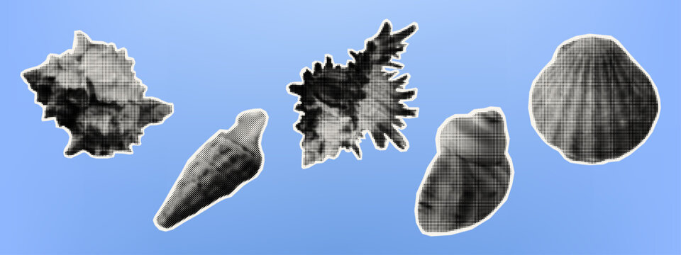 Seashell on a card for decoration. Mediterranean set of paper cutout stickers for collage. Underwater world, a variety of shells for scrapbooking. Vector illustration, contemporary halftone art.