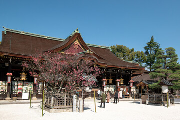 北野天満宮 飛梅と拝殿