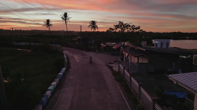 Top-down aerial revealing rice field patterns and rural road in Tondol during warm sunset light.