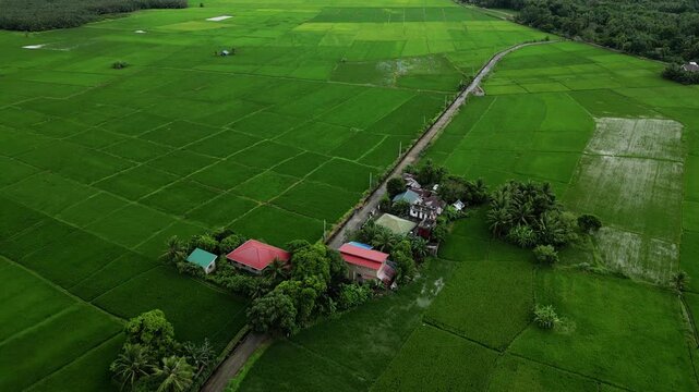 Drone flying along the left side of Lual road, revealing rolling hills, dense greenery, and calm countryside scenery in Infanta, Quezon.