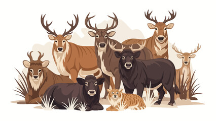 A cute cartoon illustration of a set of different wild deer, including a reindeer and elk with antlers, isolated on white for Christmas wildlife and nature vector designs © Rizky