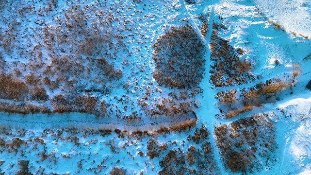 Birds eye view of snow covered marshland and frozen reeds in Rewa, Poland. Perfect for winter travel, nature documentaries, and seasonal backgrounds.