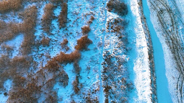 A cinematic aerial topdown shot of snowcovered reeds and frozen landscape in Rewa, Poland during winter. Perfect for nature documentaries and seasonal travel content.