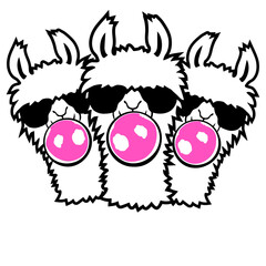 Fototapeta premium 3 Team Friends Crew Llama Bubblegum Bubble Chewing Cool Sunglasses Alpaca White Fur Funny