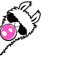 Fototapeta premium Llama Bubblegum Bubble Chewing Cool Sunglasses Alpaca White Fur Funny Side View