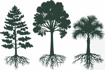 Obraz premium Silhouettes of three distinct trees with detailed root systems against white