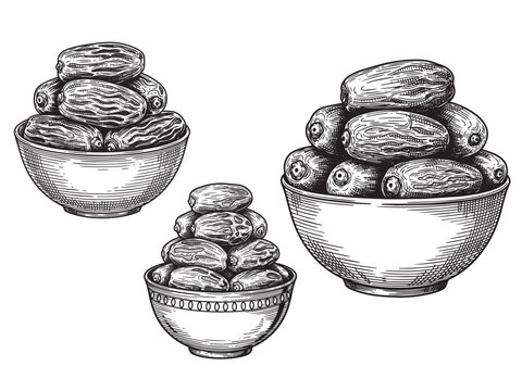 Dates bowl engraving illustration for Ramadan iftar branding