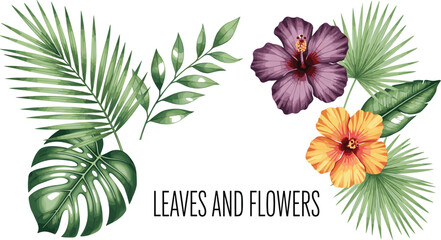 Tropical leaves and hibiscus flower collection with palm monstera foliage isolated on white background botanical watercolor vector illustration set © MstMukta
