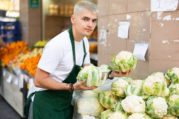 Fototapeta premium Grocery store employee places ripe broccoli on a display case at a street store
