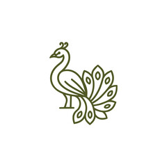 Fototapeta premium Line Art Peacock Logo