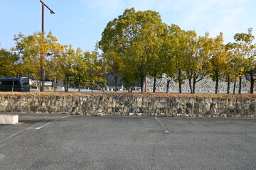 日本の城郭跡と並木道：歴史を感じる石垣と初冬の風景