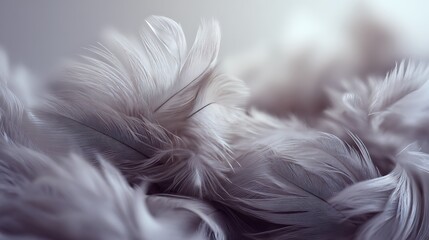 Fototapeta premium Close-up of soft, white feathers, with blurred background, creating a serene, delicate image