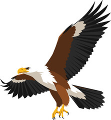 Fototapeta premium Detailed hand drawn vector illustration of a majestic peregrine falcon bird of prey with brown speckled feathers standing alert and isolated on a white