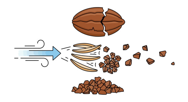Illustration of Cocoa Bean Processing Step: Crushing and Winnowing Diagram Showing Air Separation of Nibs from Husks for Chocolate Production