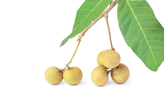 Pile of longan fruits isolated on white background