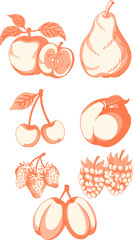 set of apple, pear, peach, plum, cherry, strawberry, and raspberry.classic woodcut etching style.ideal for organic food packaging, botanical labels, and rustic kitchen decor.