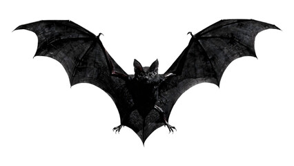 Fototapeta premium Black bat cartoon illustration isolated