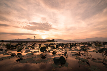琵琶湖の夕焼けと蓮の葉が広がる水面　滋賀県の静かな湖畔風景