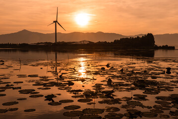琵琶湖の夕焼けと蓮の葉が広がる水面　滋賀県の静かな湖畔風景