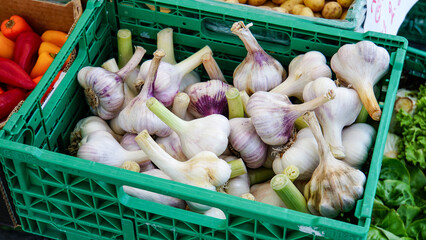 緑色のプラスチックケースに大量に入った茎付きの新鮮な白いニンニク