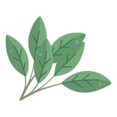 nature leaf plant foliages vegetation flat color vector illustration template design