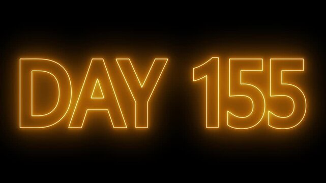 Neon text day 155 animation on black background. flickering neon inscription DAY 155. calendar counter concept