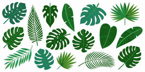 A collection of diverse tropical leaves in varying shades of green © Apurba