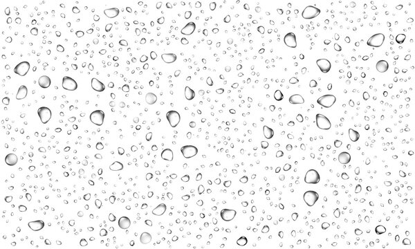 Water rain or shower drops seamless border isolated on transparent background. Realistic pure droplets condensed texture.