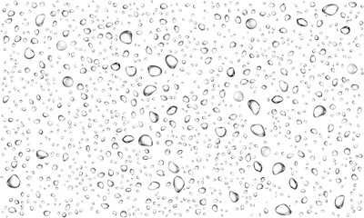 Fototapeta premium Realistic transparent water drops on transparent background liquid water-drop top view glass plate sprinkle, spritz effect, wet spray droplet, dripped, bubble splash on leaf surface overlay window